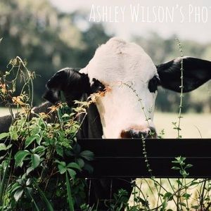 Meet your Posher, Dellenna